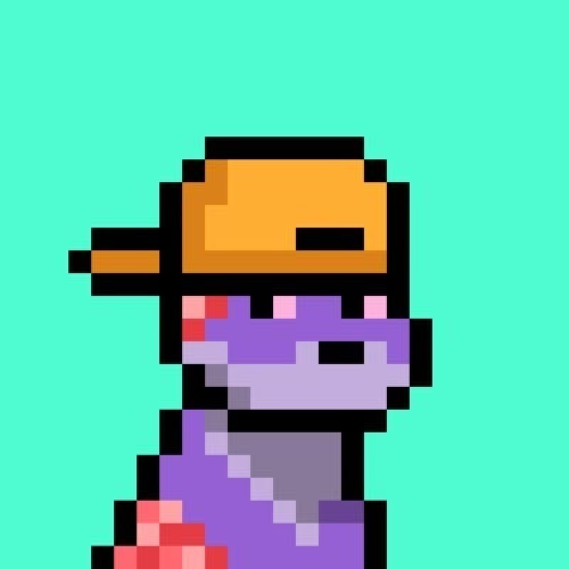 Official RusMetaX mint-background pixel dog profile picture of Rus (@RusMetaX), purple dog in a gold cap